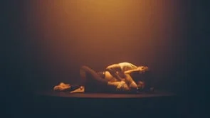 Philippe B // Rouge-Gorge