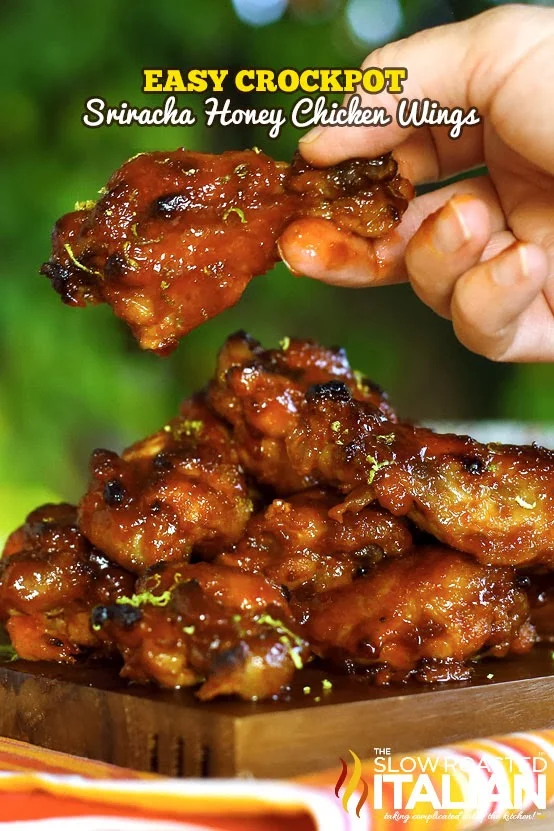 My daughter Audrey's favorite recipe - she begs me to make them! Crockpot Sriracha Honey Chicken Wings
