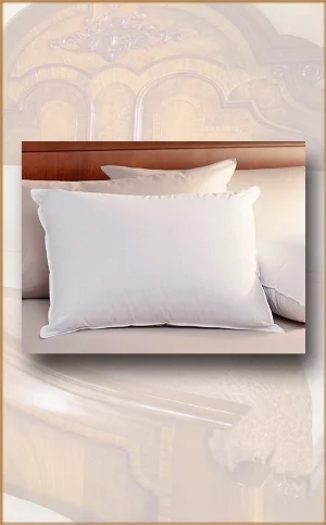 The Davenport Pillow get it here.. https://davenporthome.myshopify.com/products/davenport-down-pillow