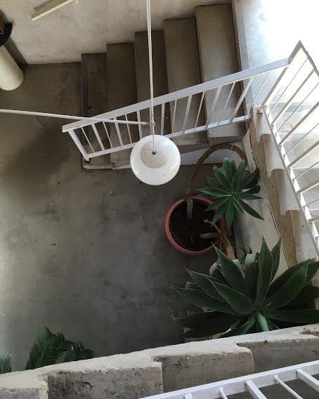 A staircase between the cafe and gallery / photo by Maleeha Sambur