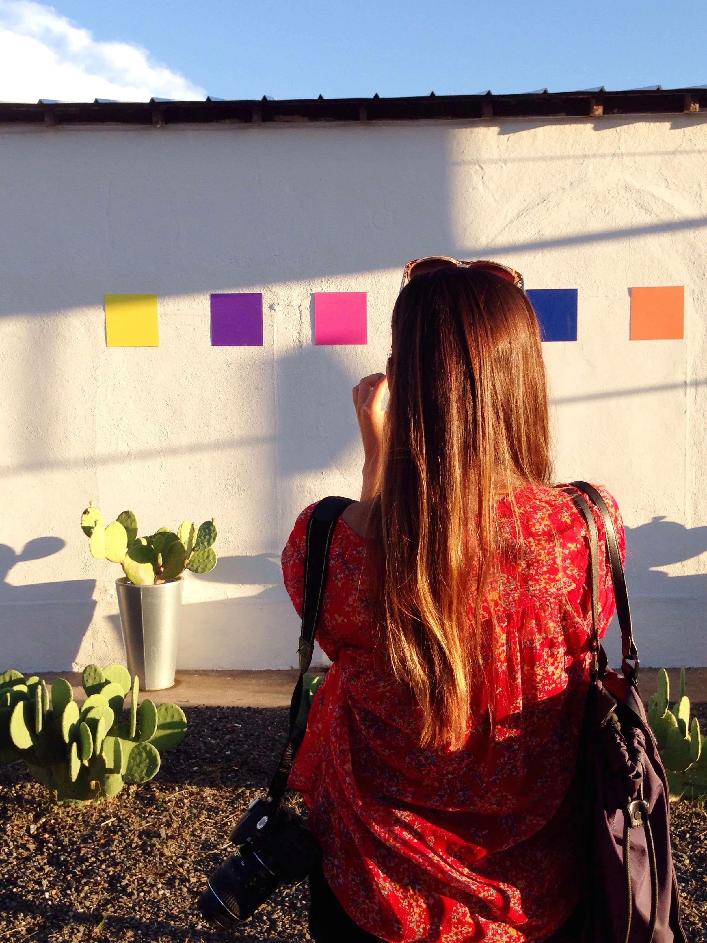 Jennifer Saracino, Contributor