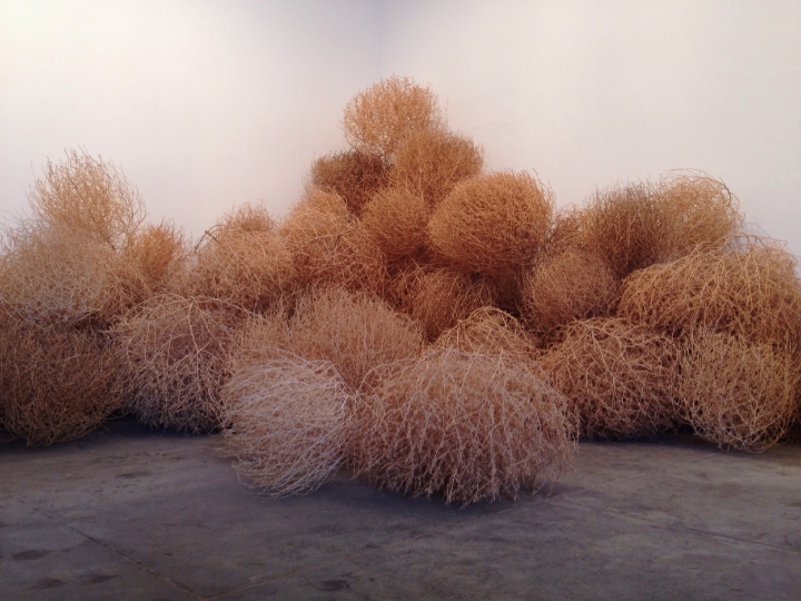 Marfa Tumbleweeds - Maleeha Sambur.jpg