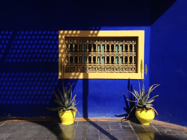 Jardin Majorelle | photo by Maleeha Sambur