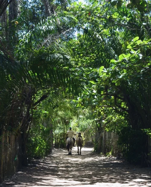  photo by Maleeha Sambur 