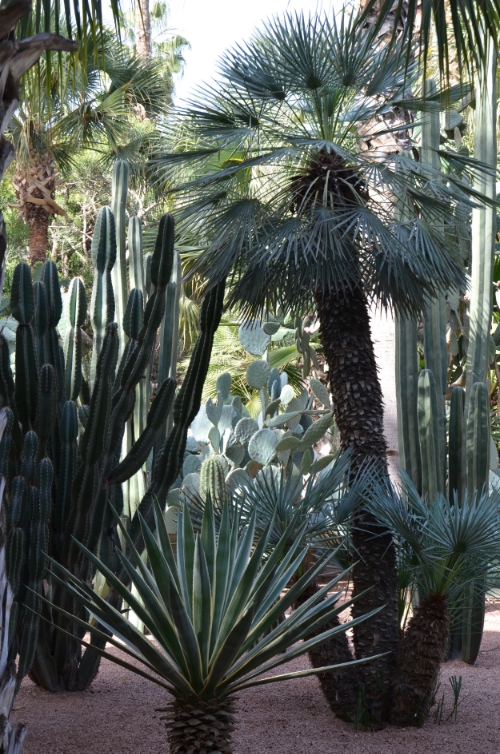  Jardin Majorelle | photo by Maleeha Sambur 