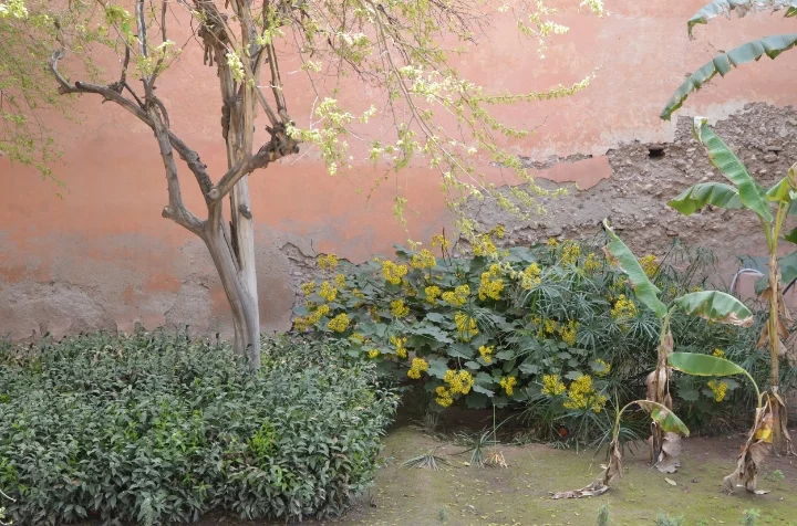 Photo by Maleeha Sambur