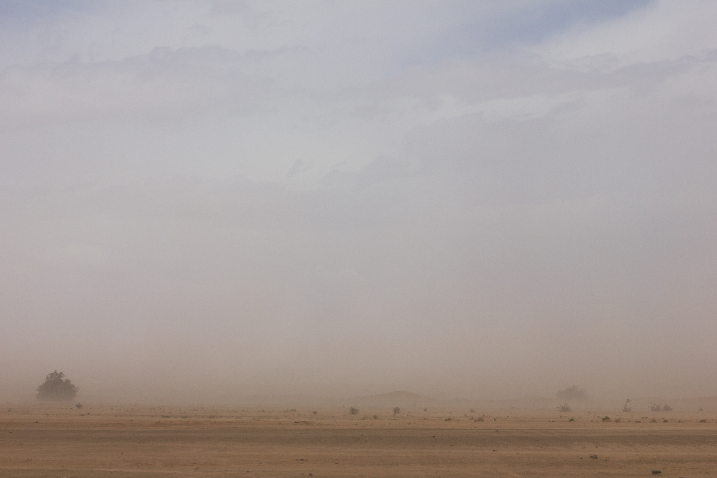  Dust storm in the distance | photo by Tawfeeq Khan 