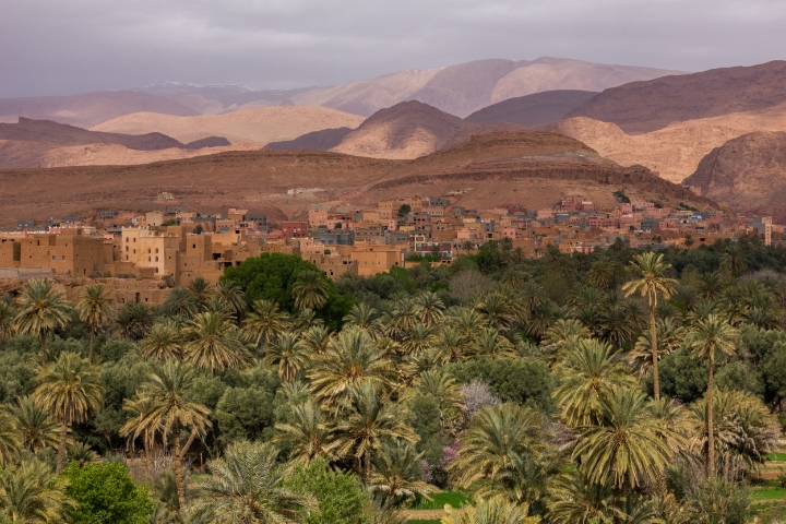  Oasis town of Tinerhir -- not a painting!&nbsp;| photo by Tawfeeq Khan 