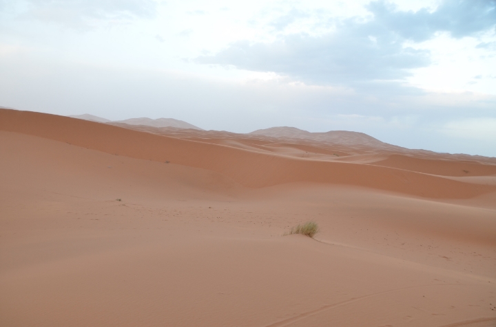  The surreal desertscape | photo by Maleeha Sambur 