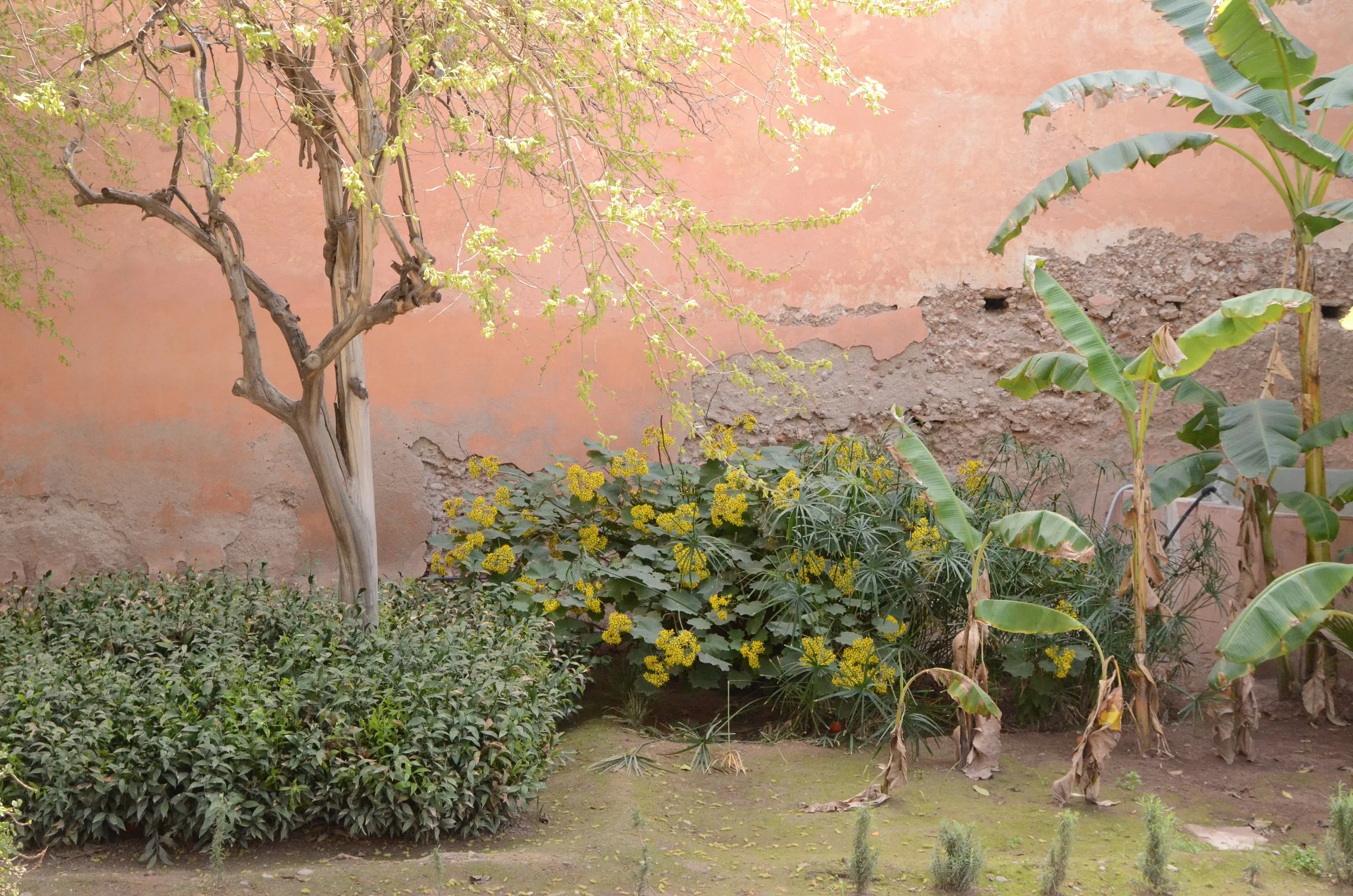 Trip Diary | Marrakech