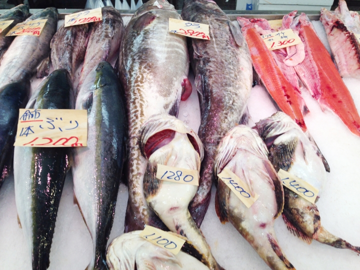  Fish market offerings 