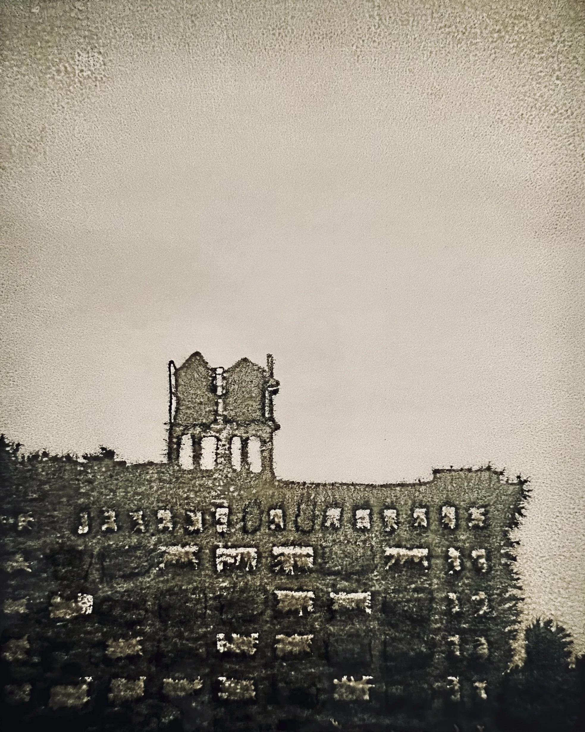20230303_untitled_0230.jpg