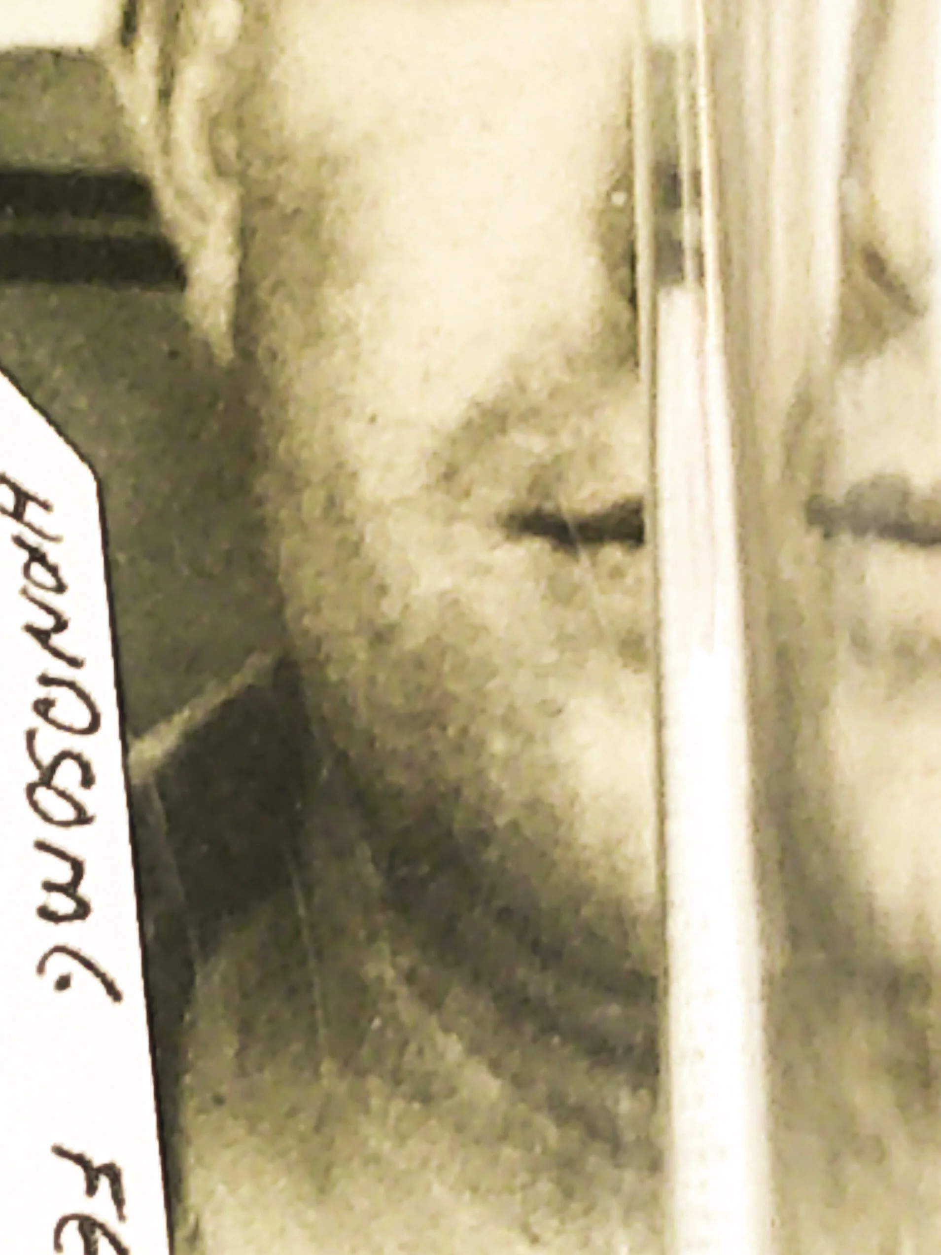 20260225_untitled_0053.jpg