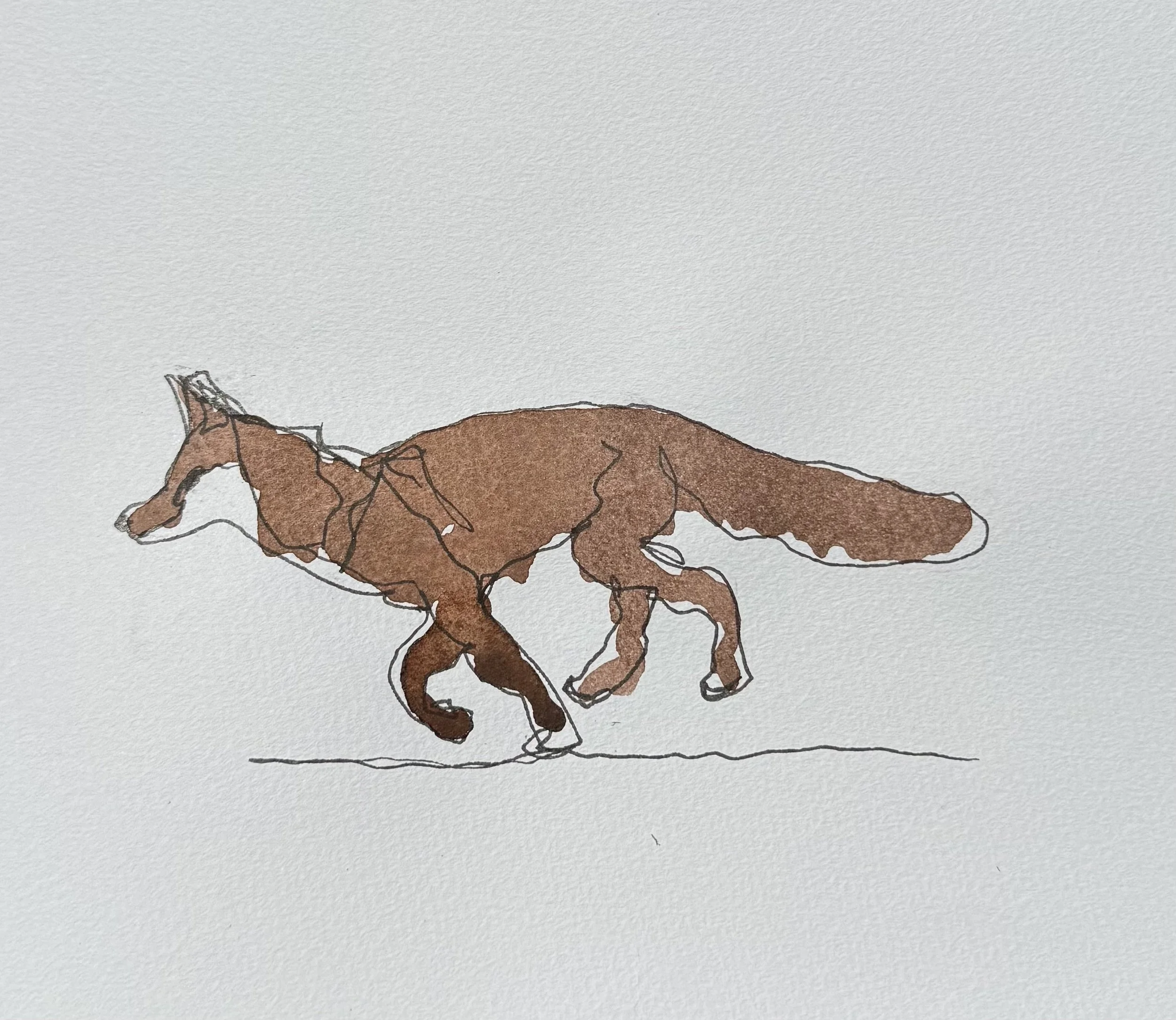 running_fox.jpg