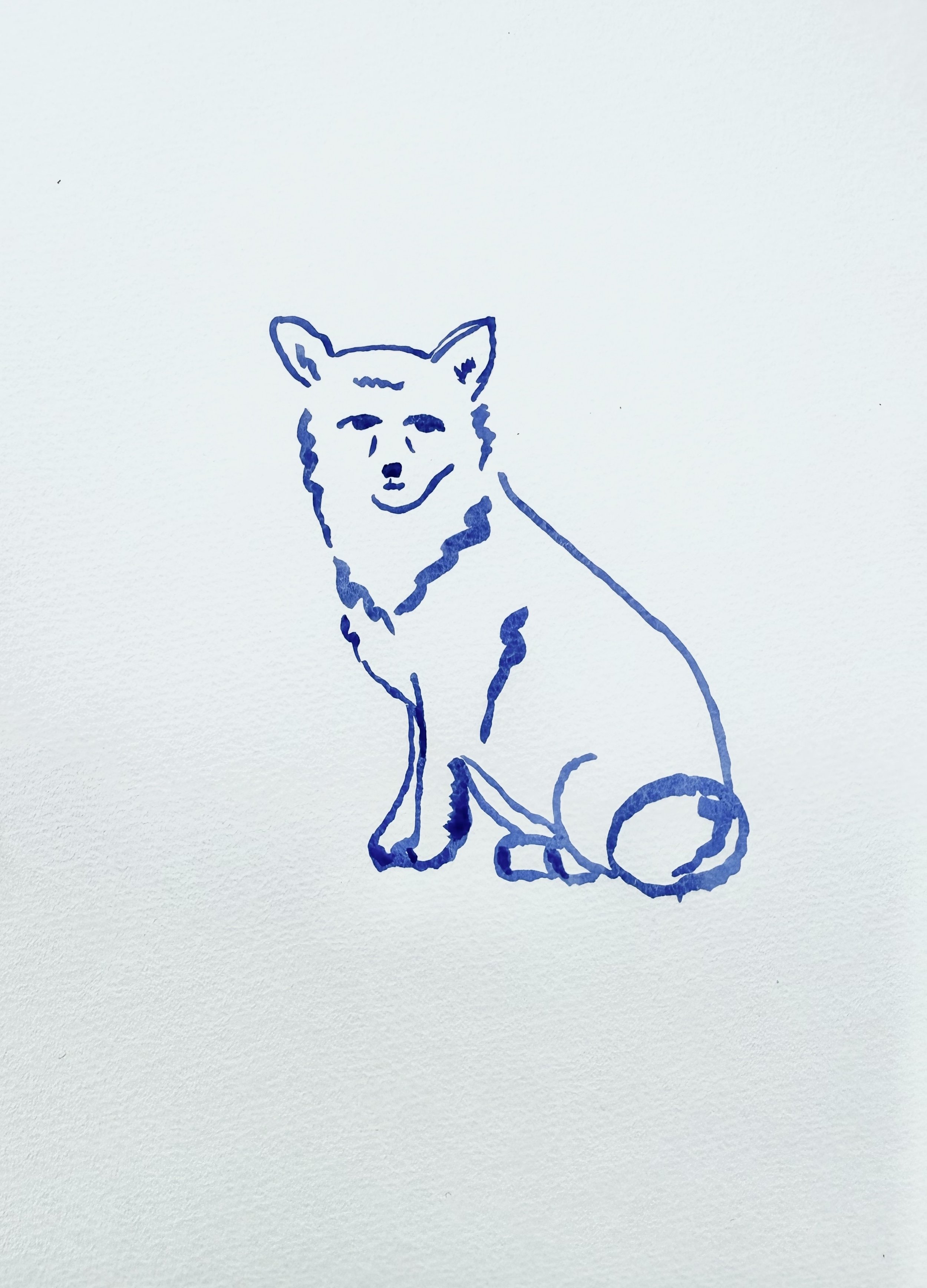 sitting_fox.jpg