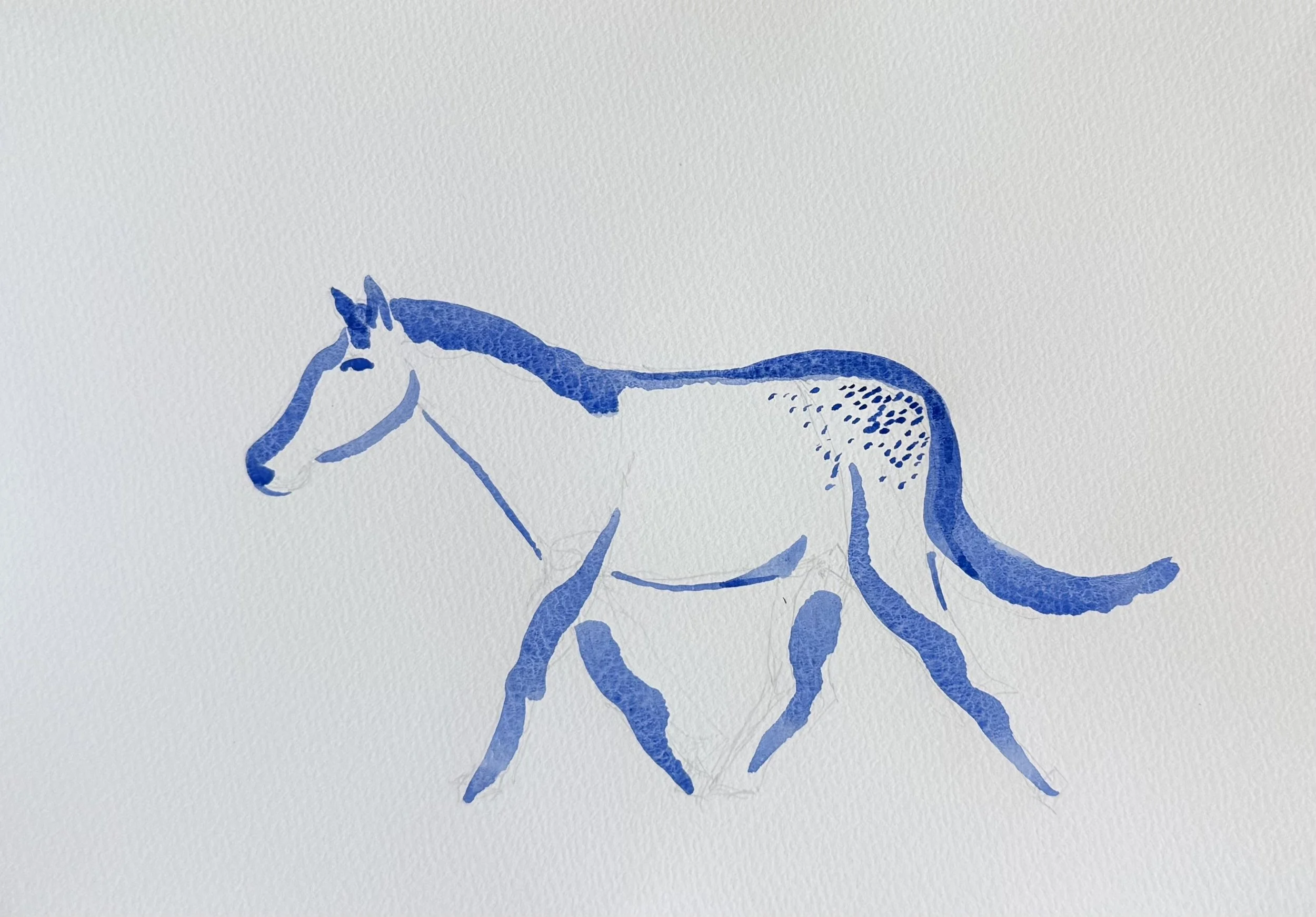 dappled pony.jpg