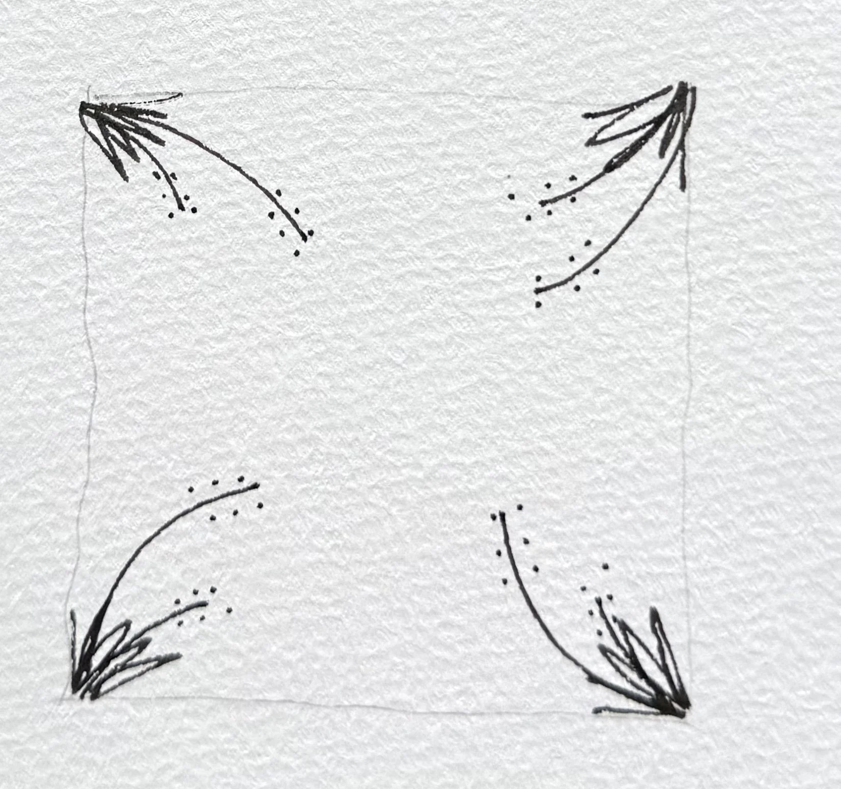 flowering grasses.jpg