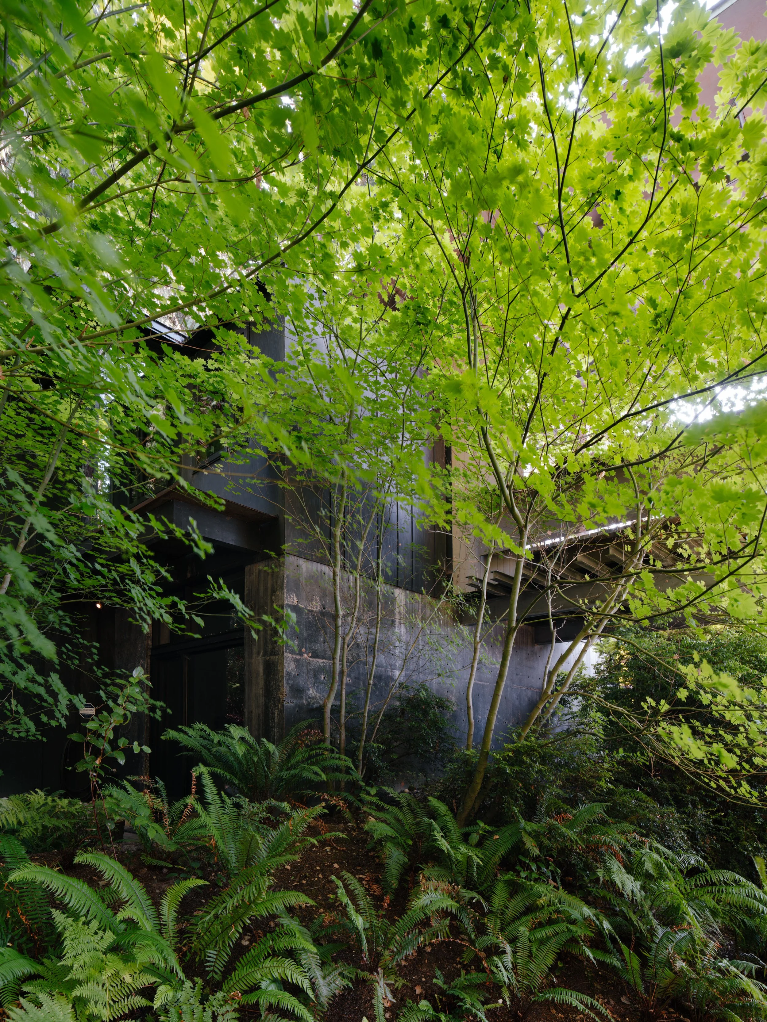 DSCF2579.jpg