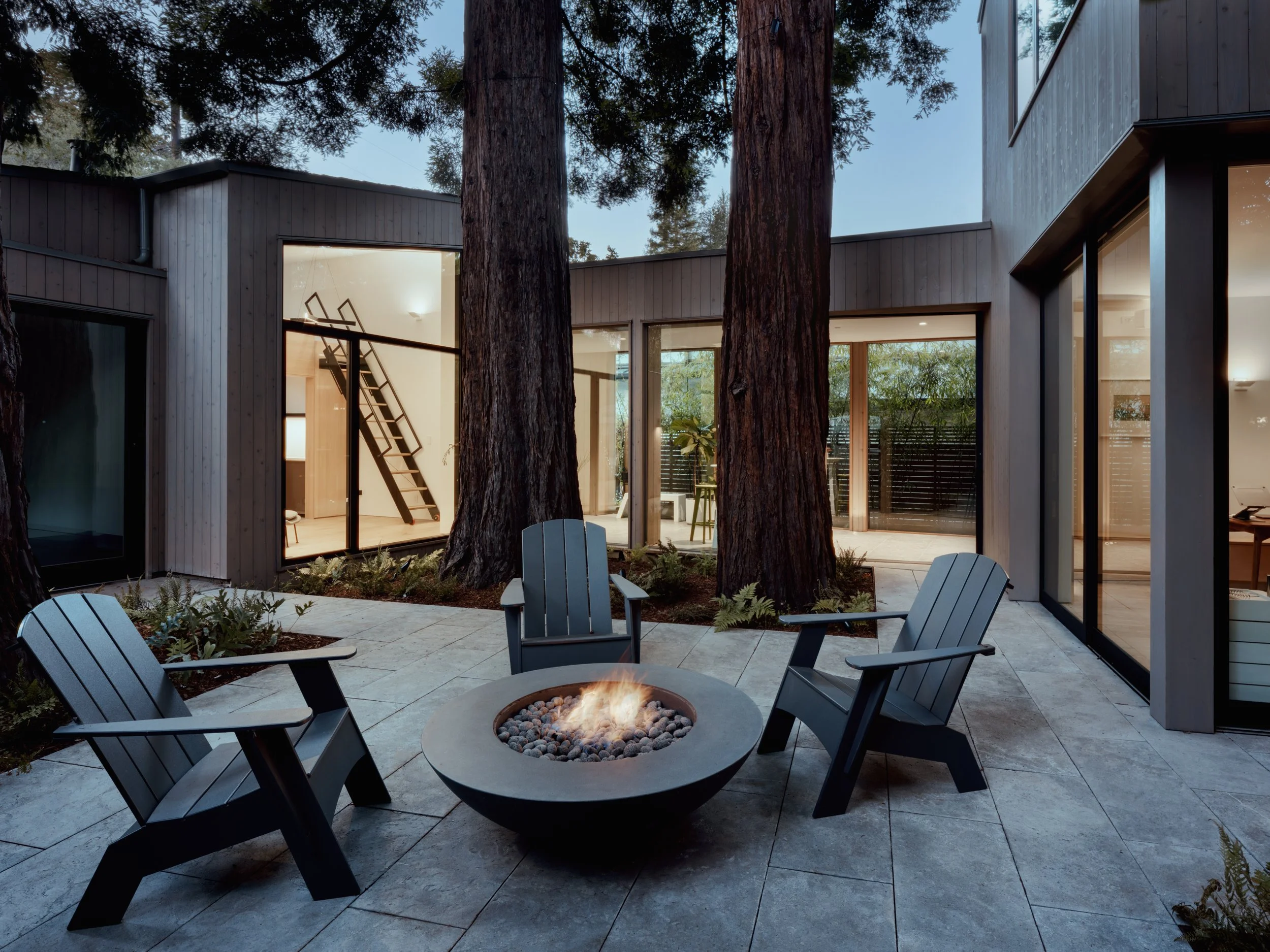 ana williamson architects: tree house
