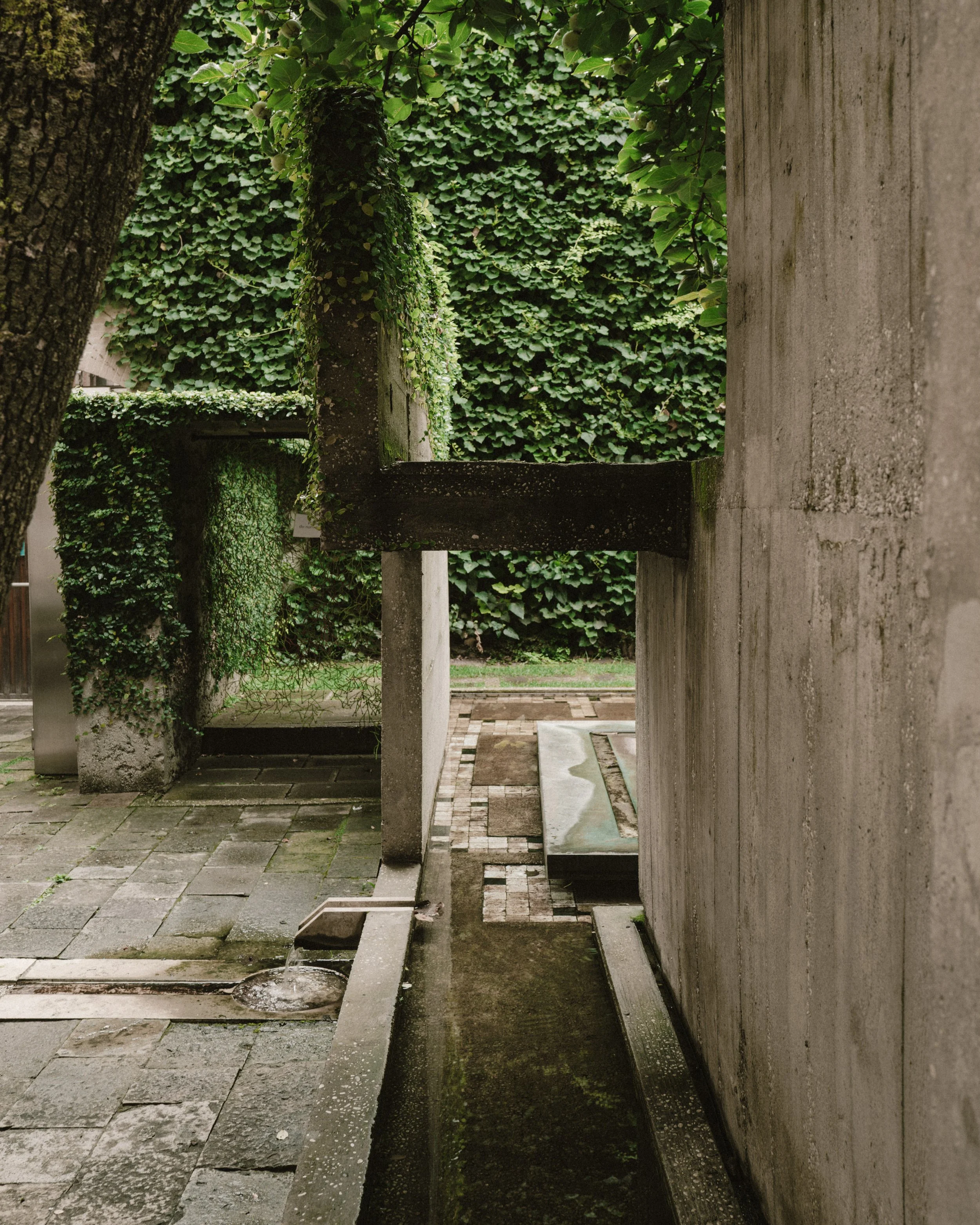 L1071027.jpg