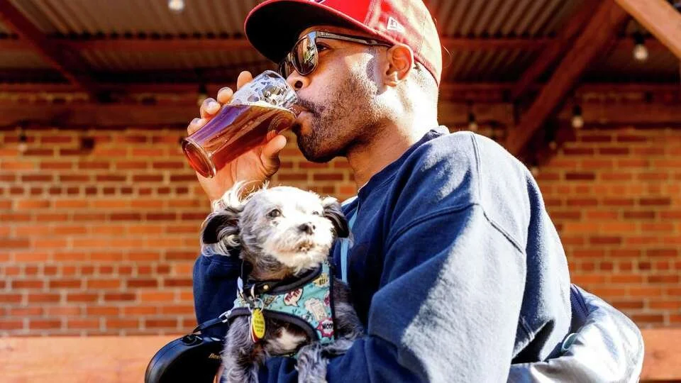 Top BREWERIES in the Bay Area