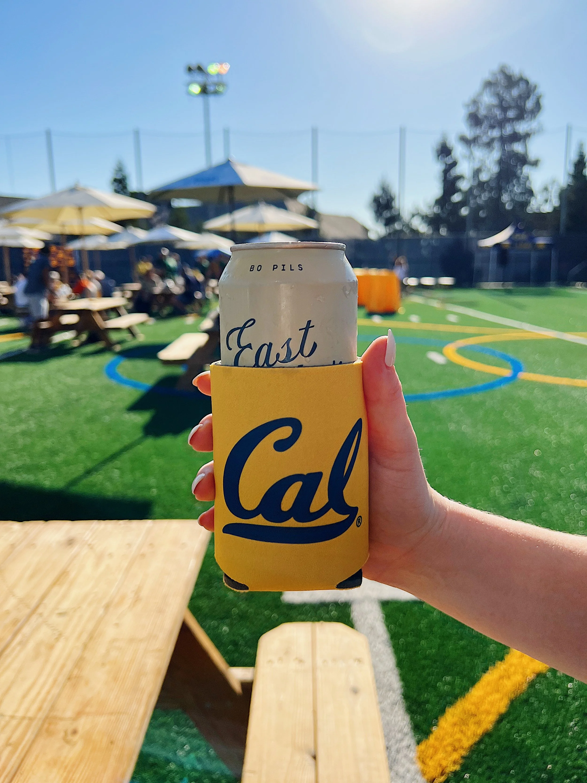 OUR STURDY GOLDEN BEAR