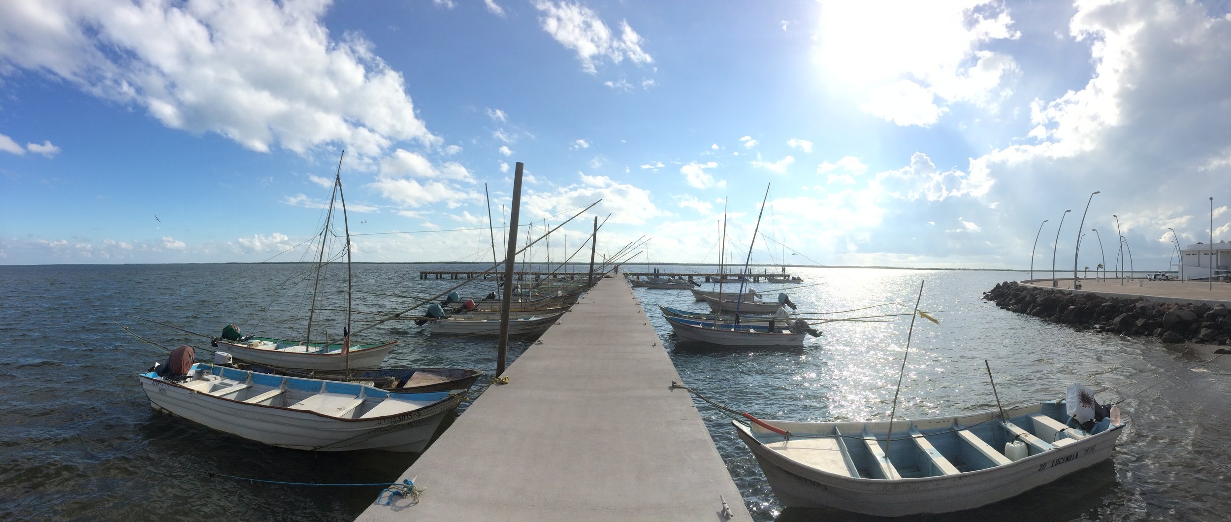 Mexico_Fleet1.JPG