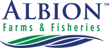 Albion logo.png
