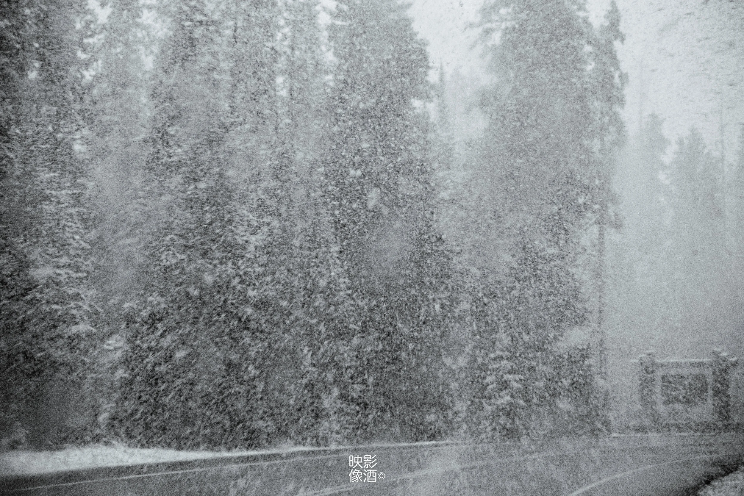 Snow in Yellow Stone