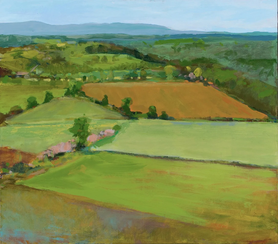    Fox Hill View into Distance (Sold)  26x28 Oil on Board  