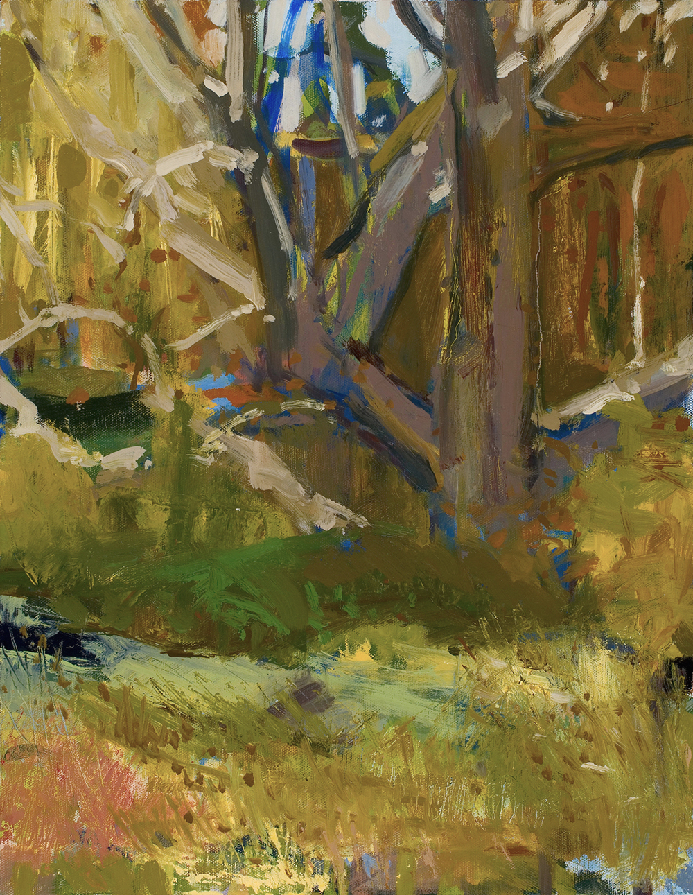   Sycamore by Cold Brook  18x14 Oil on Canvas 