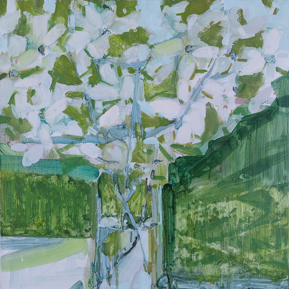   Dogwood in Glass Vase  14x14 (Framed) Oil on Portrait Linen 