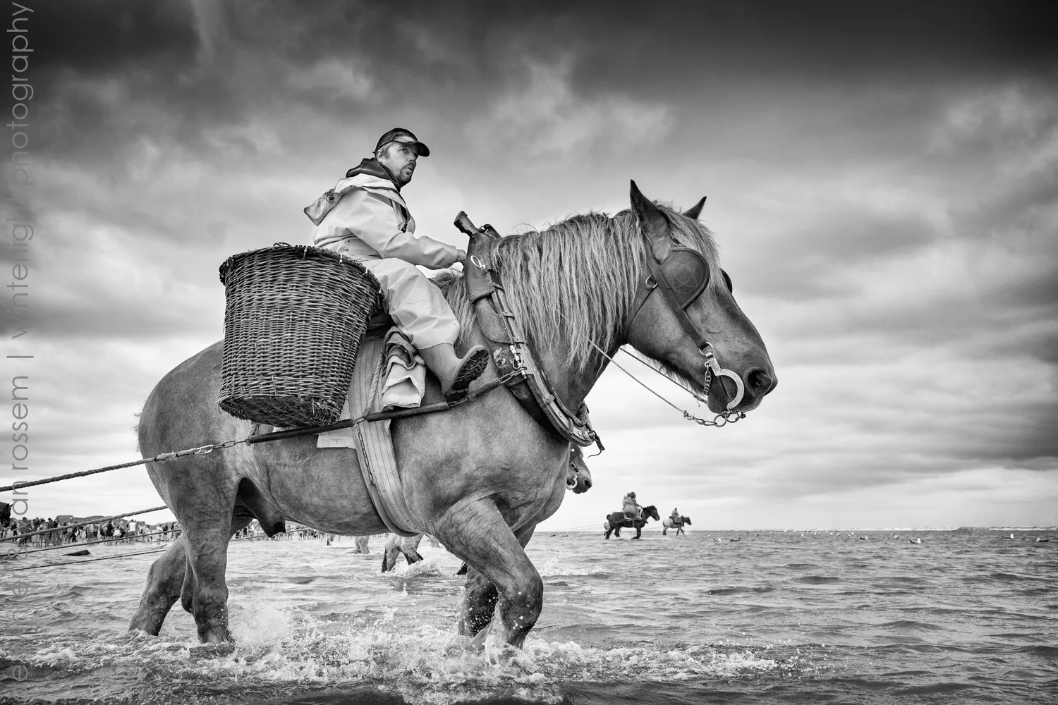 Shrimp Fishing on Horseback - Garnaalvissers Te Paard 1