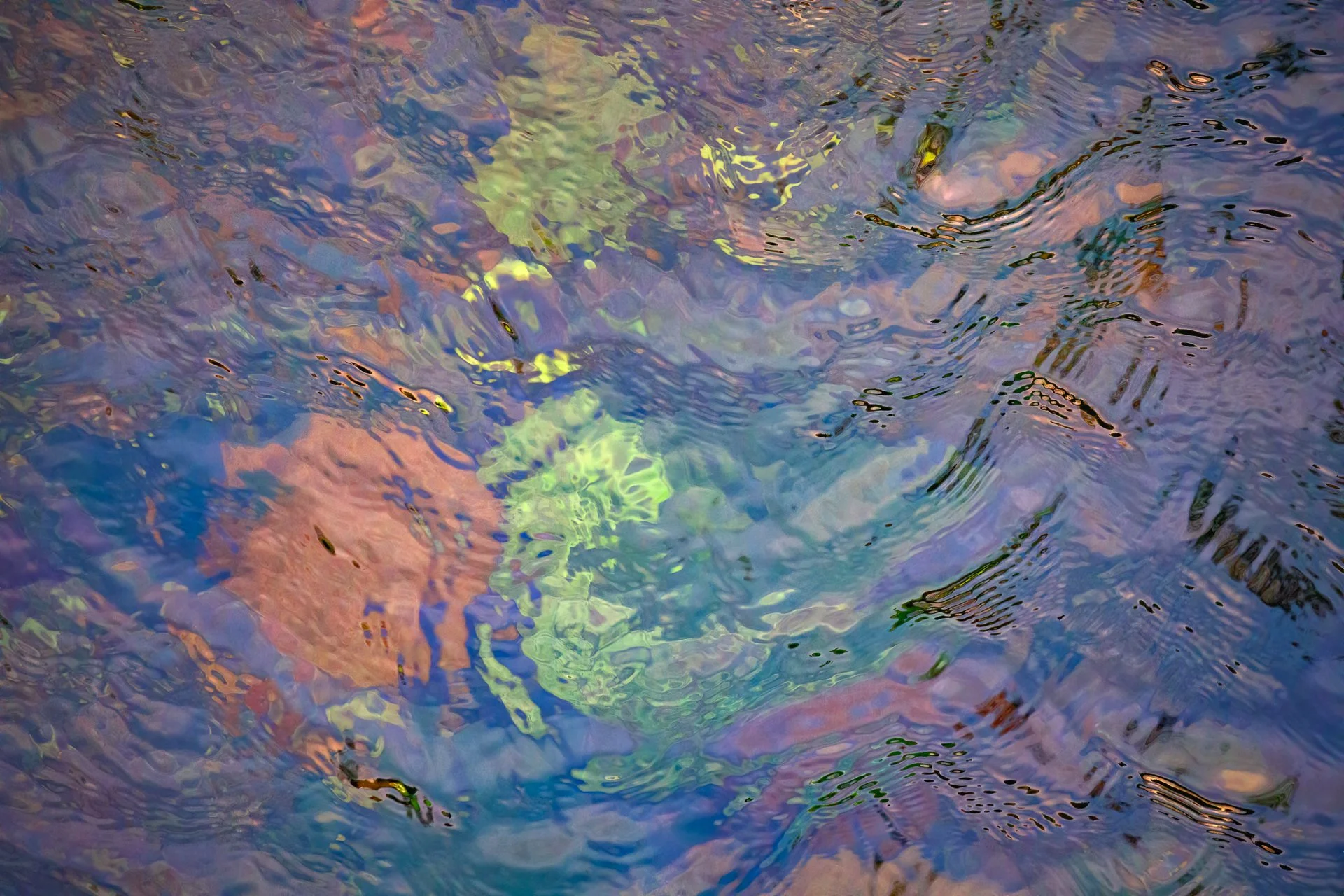 SCO231124-82437.jpg