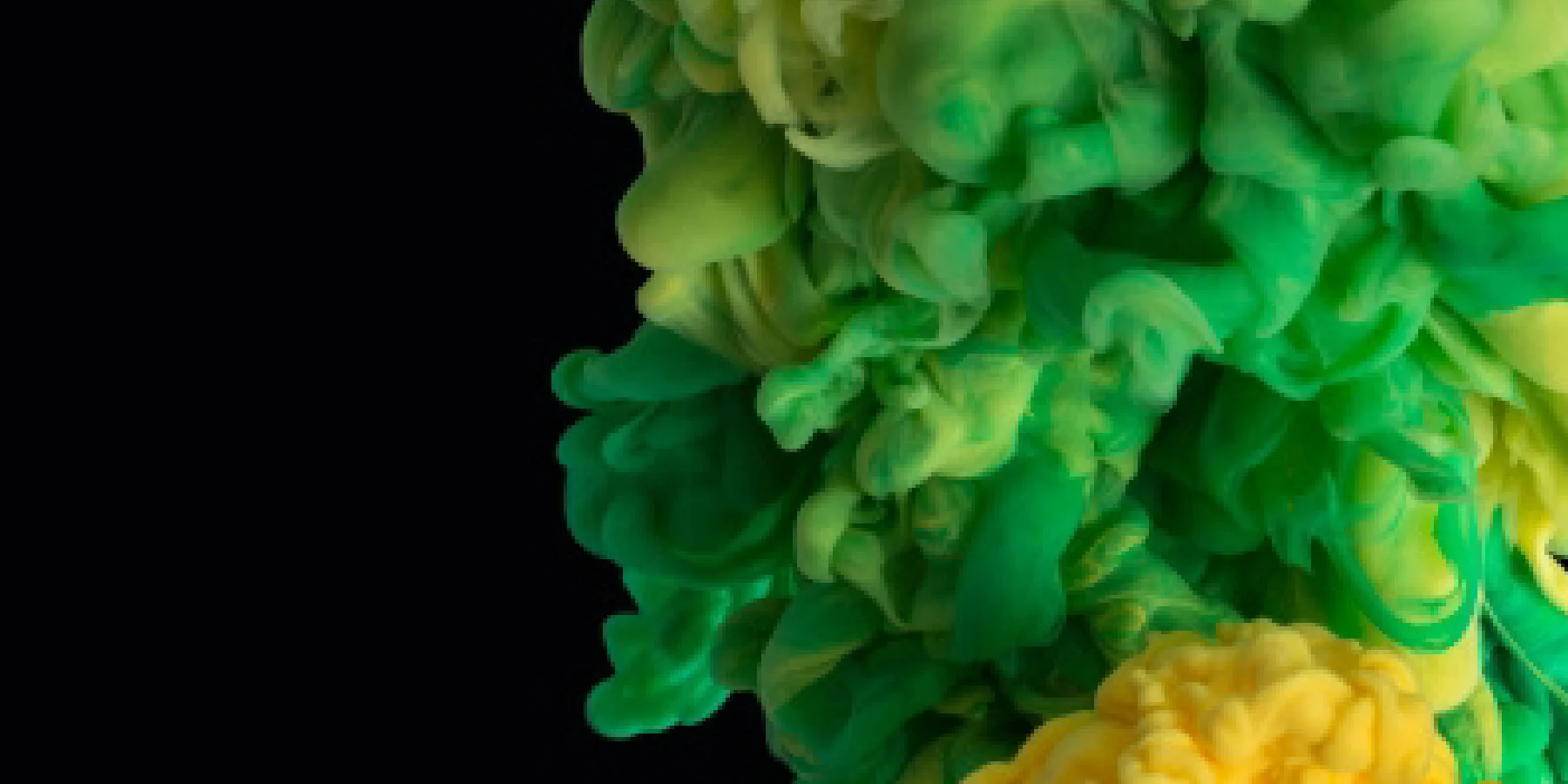 J1893-Website-Header Imagery-03.jpg