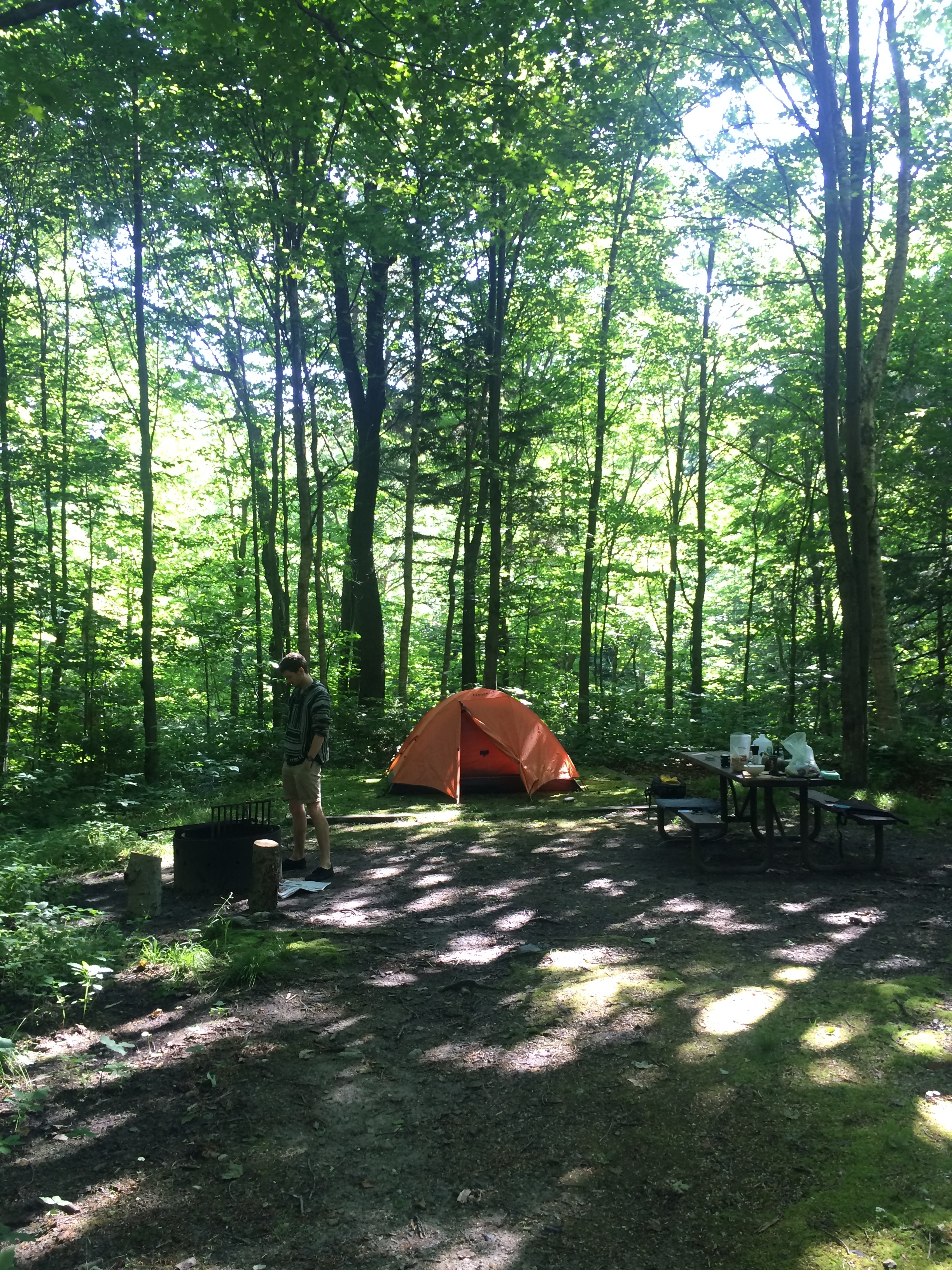 We had a fire ring and picnic table!