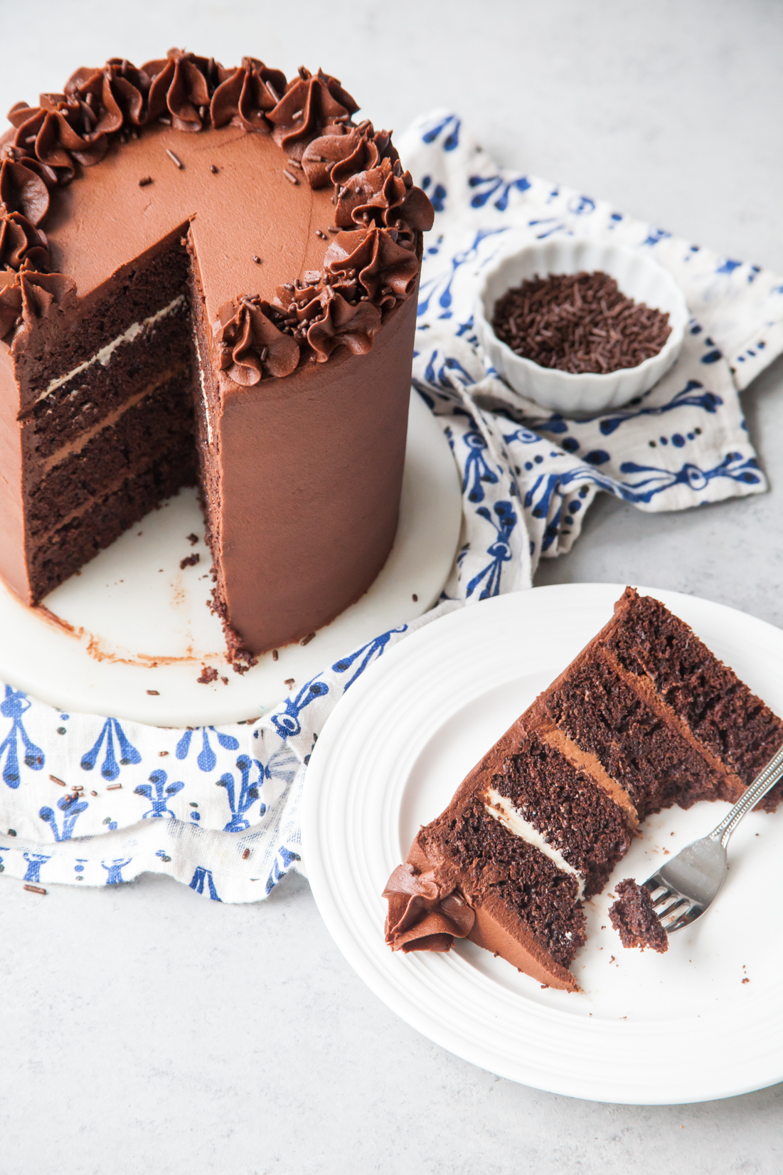 Chocolate Fudge Layer Cake with ombre chocolate filling