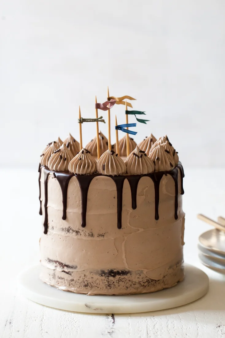 Triple Chocolate Fudge Cake with Milk Chocolate Cloud Frosting — Style