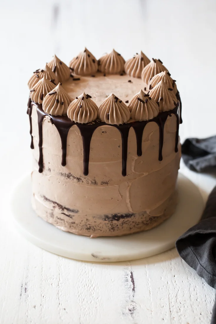 Triple Chocolate Fudge Cake with Milk Chocolate Cloud Frosting — Style