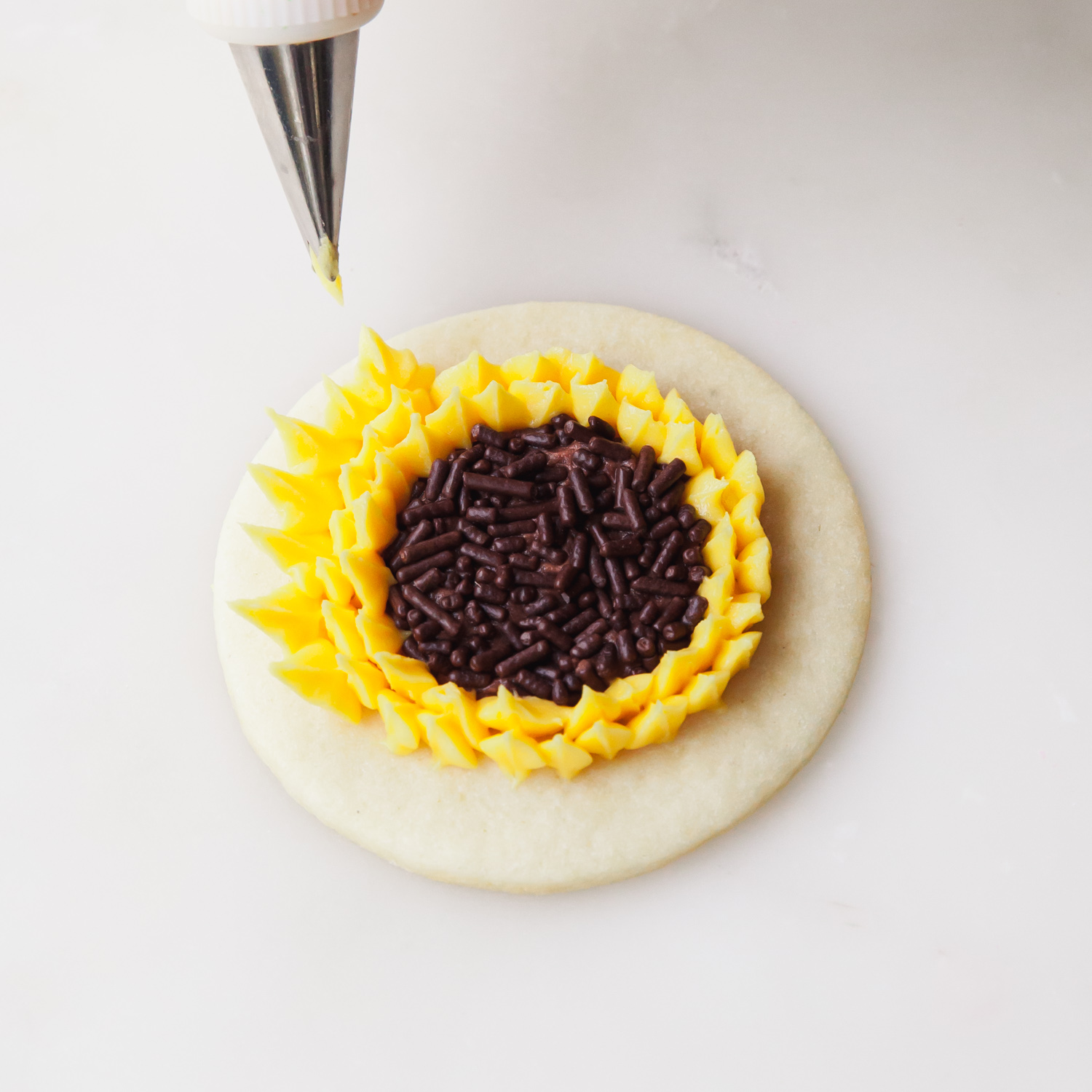 For the outer two rows of petals, angle the piping bag away from the center of the cookie so the petals begin to open up.
