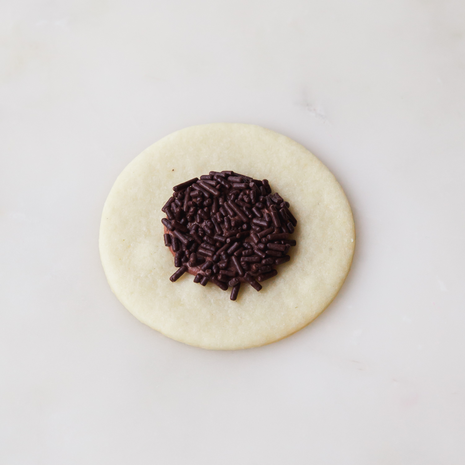 Flip the cookie upside down and dip in a shallow bowl of chocolate sprinkles.