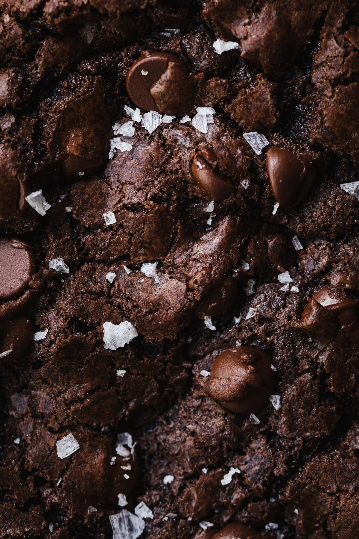 Giant Double Chocolate Chip Cookies — Style Sweet