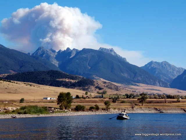 FLOATING, KAYAKING, CANOEING