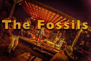 The Fossils