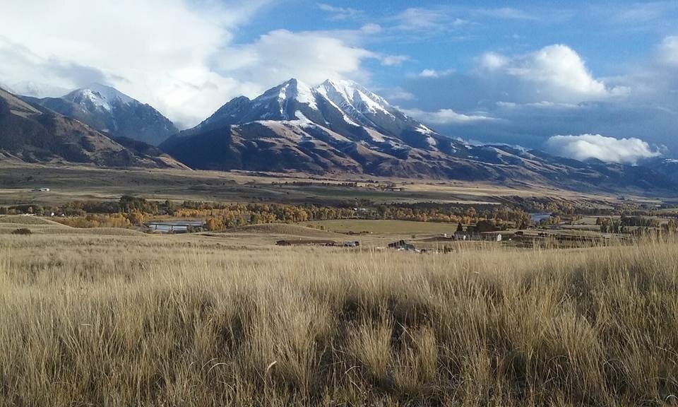 Absaroka Mountains.JPG