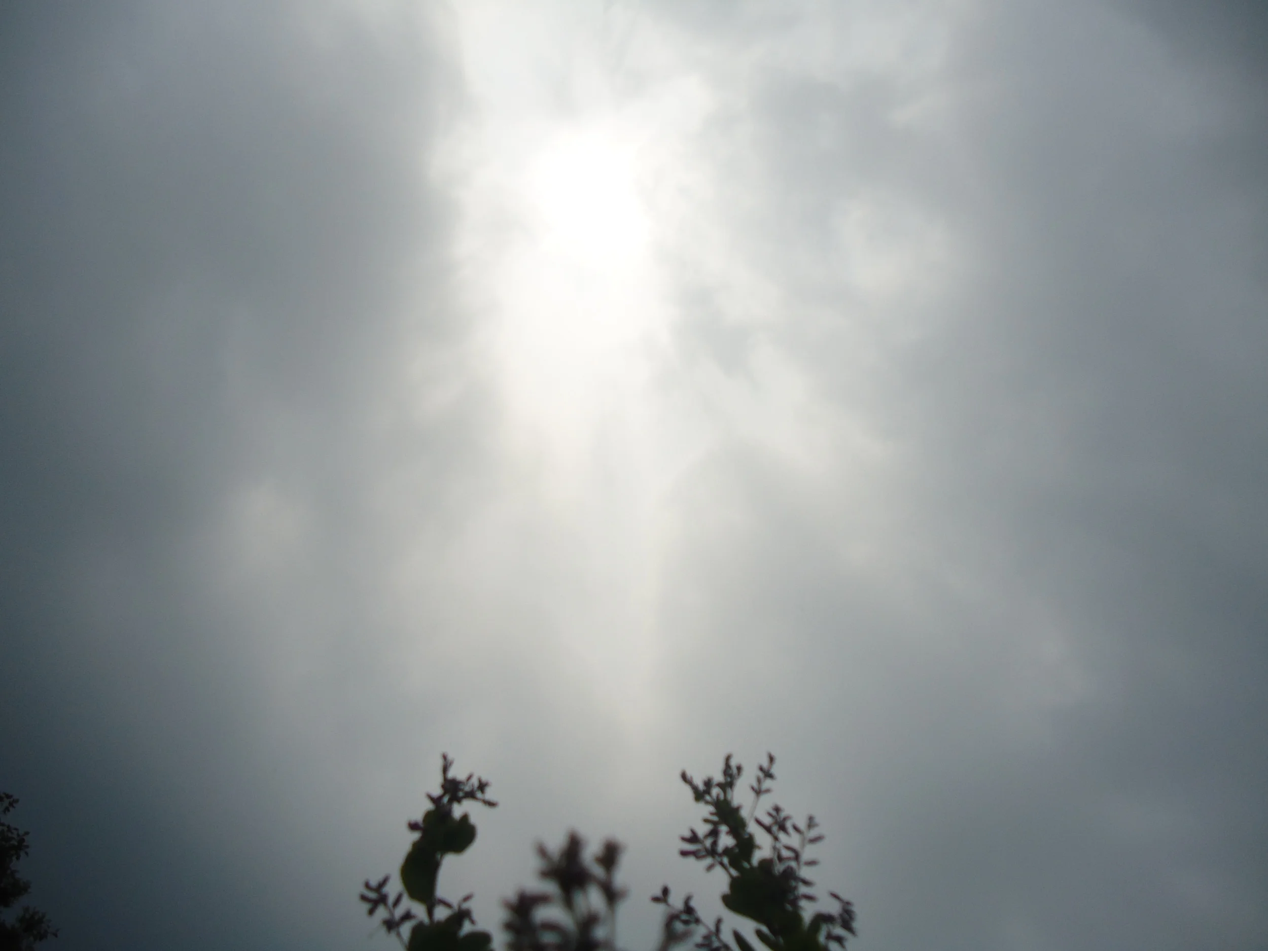 DSC03823.JPG