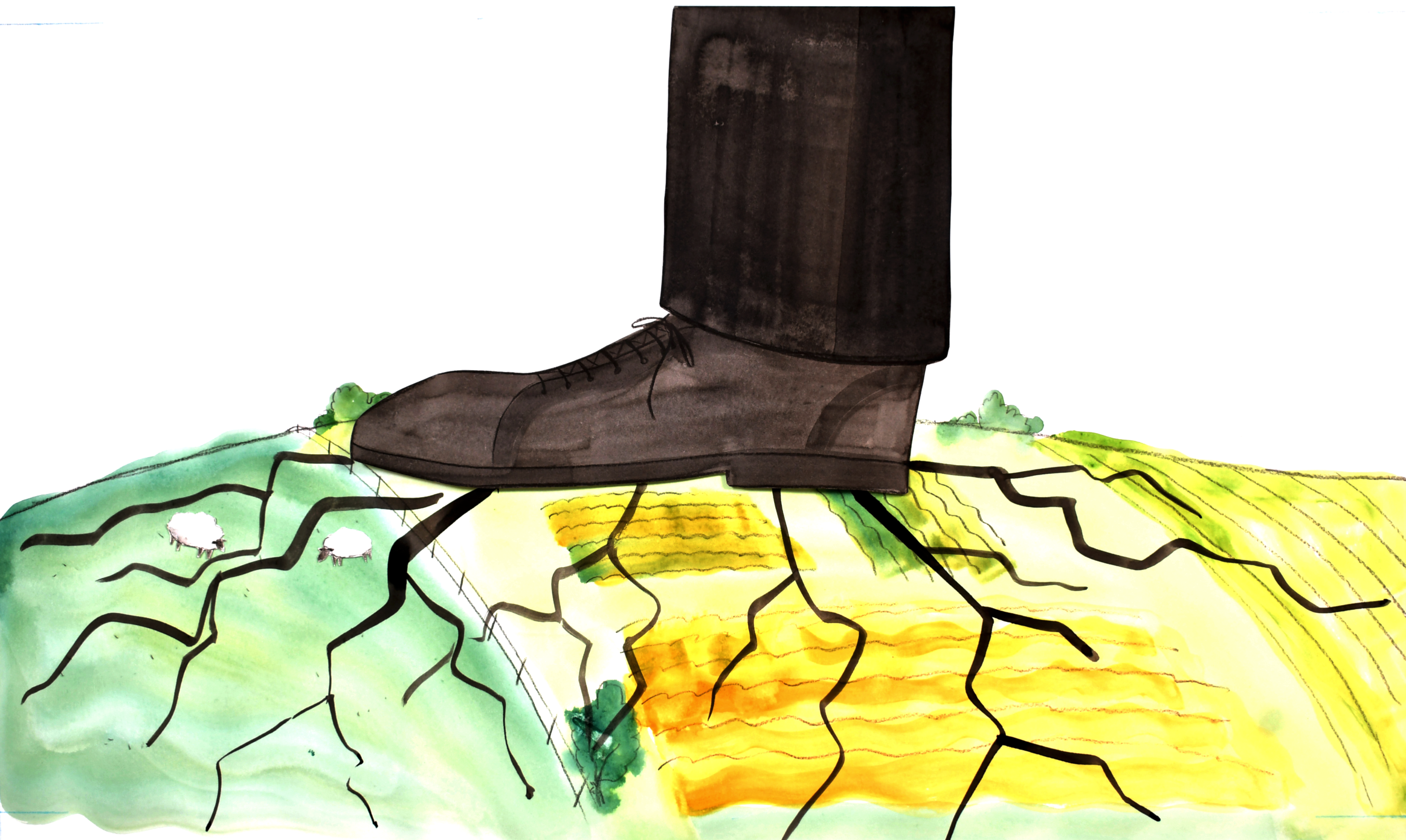 corporate shoe PNG.png
