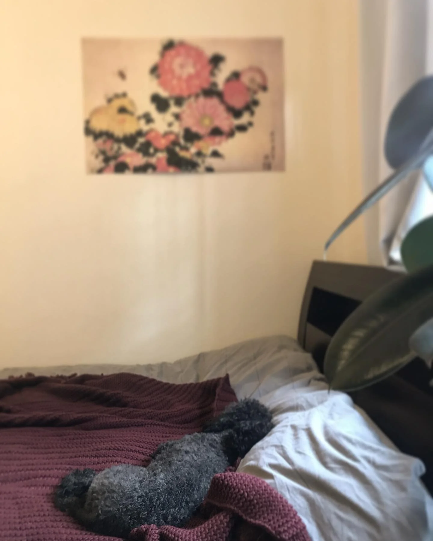 Little Miss can finally rest while I&rsquo;m distracted. #workingfromhome #whitneycuteston