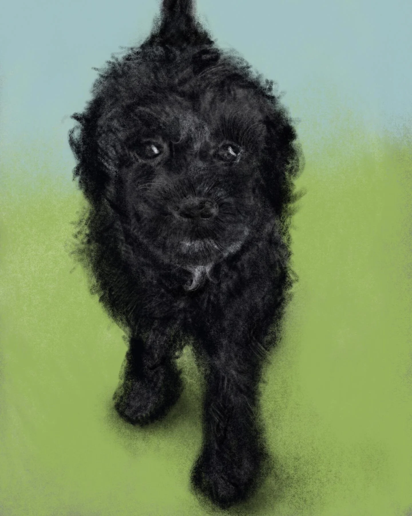 Still in puppyville over here and I finally made time to try out Procreate.

@elenipenny @papas_eleni Bowie is my first subject!!

#procreate #procreateart #procreatedrawing #puppiesofinstagram