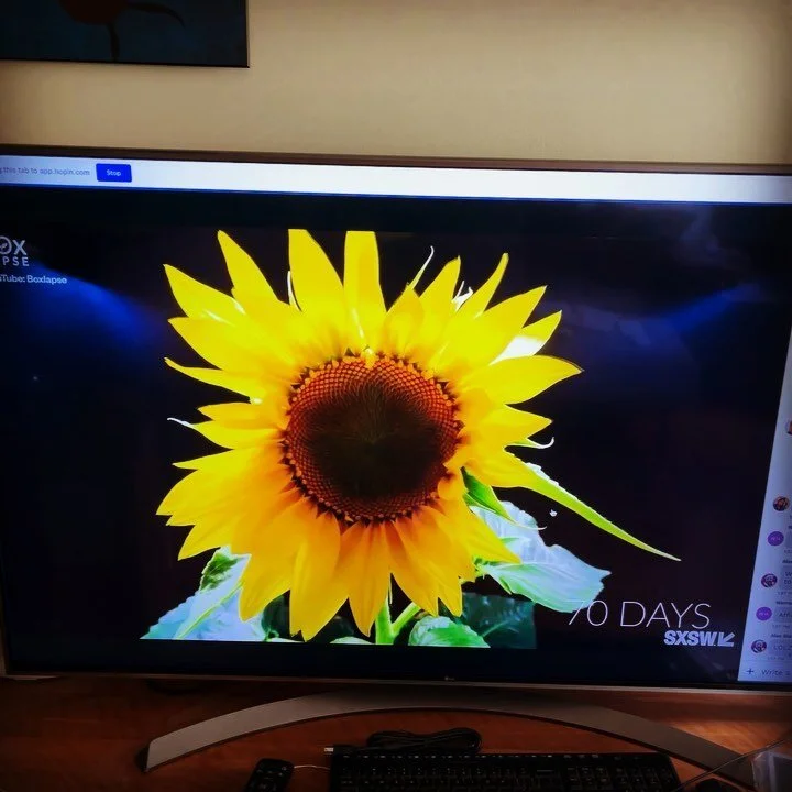 Watching SXSW at home is an amazing and surreal experience. Early mornings / late evenings / in my jammies / great music / inspiring speakers / new technology / janelle in my lounge room! 

#virtualevents #sxsw2021 #austintexas #onemoreday